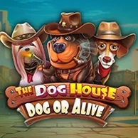 The Dog House – Dog Or Alive – gra slotowa